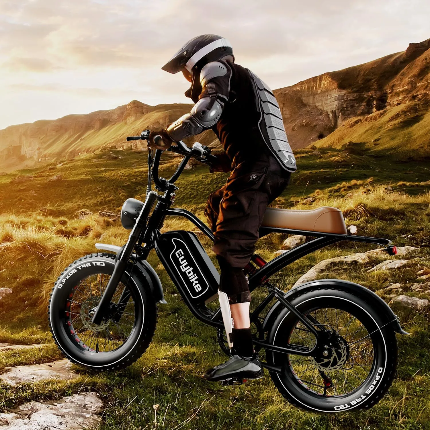 2000W/3000W Peak Single/Dual Motor Electric Bike for Adults with 48/52V 25/30AH Battery, Fat Tires Mountain E-Bike, Hydraulic Disc Brake Electric Bicycle