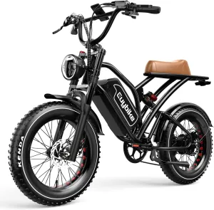 2000W/3000W Peak Single/Dual Motor Electric Bike for Adults with 48/52V 25/30AH Battery, Fat Tires Mountain E-Bike, Hydraulic Disc Brake Electric Bicycle