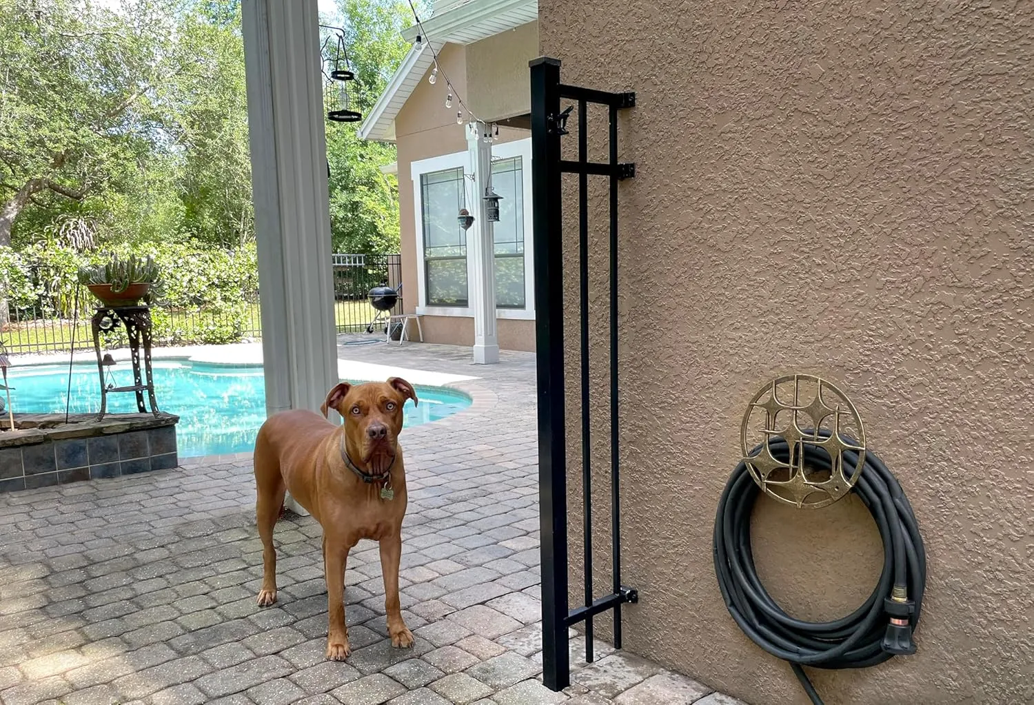 Bronze Finish Cast Iron MCM Stars Wall Mounted Hose Holder - Stylish Mid-Century Modern Garden Decor Solution - 11.5 Inches in Diameter, Weather-Resistant