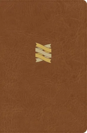CSB Connecting Scripture New Testament, Brown LeatherTouch, Black Letter, Single-Column, Expanded Cross-Reference System, Color-Coded Text, Book Introductions, Study Notes, Articles, Charts Imitation Leather – September 15, 2025