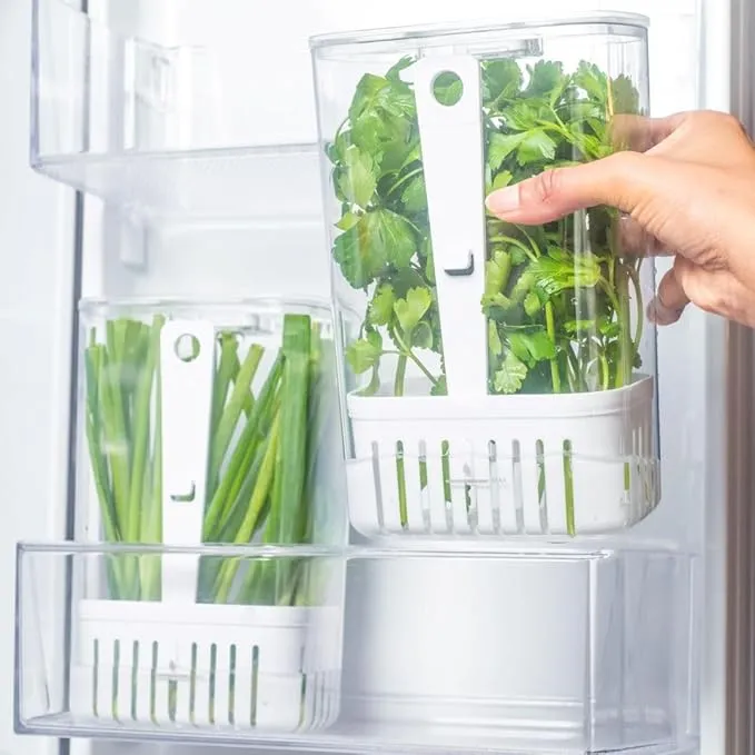 Green veggies Storage Container