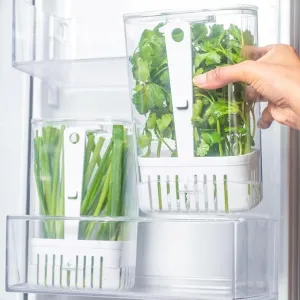 Green veggies Storage Container