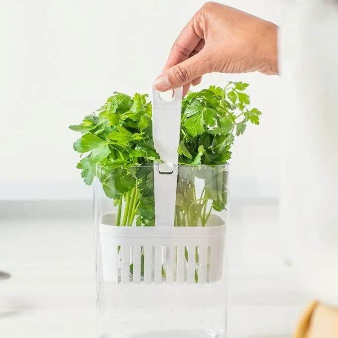 Green veggies Storage Container