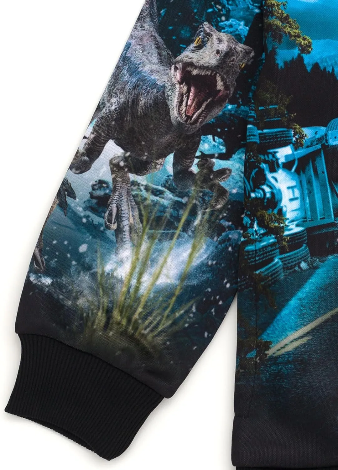 Jurassic World Jurassic Park Blue T-Rex Fleece Pullover Hoodie Little Kid to Big Kid
