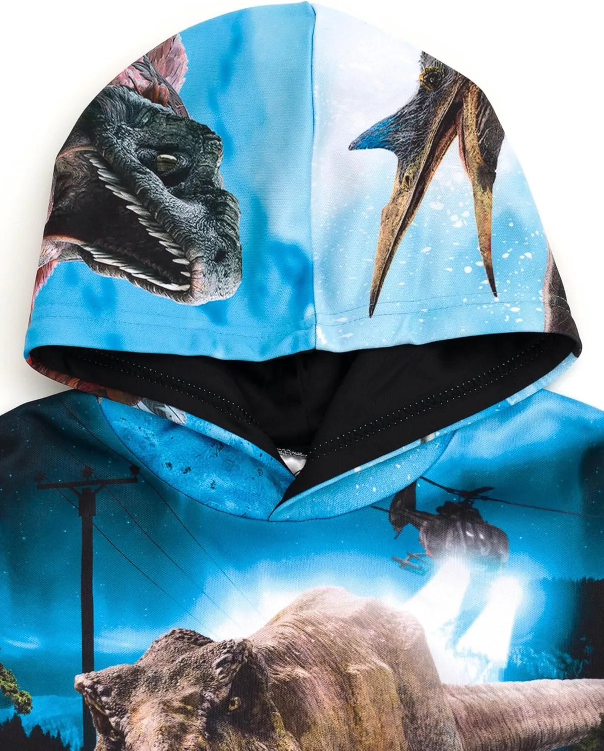 Jurassic World Jurassic Park Blue T-Rex Fleece Pullover Hoodie Little Kid to Big Kid