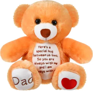 Liliful Sympathy Bears for Boys and Girls Loss of Dad Memorial Stuffed Animal Sympathy Gift Grieving Bear for Condolences Memorial Loss of Loved Plush Toy