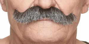 Mustaches Self Adhesive Fake Mustache, Novelty, Rocking Grandpa's False Facial Hair, Costume Accessory for Adults, Salt and Pepper Color