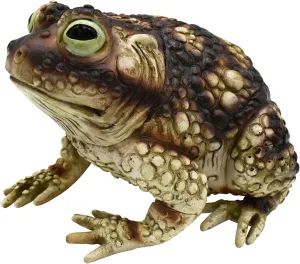 Nicky Bigs Novelties Giant Rubber Toad Prop Statue - Fake Frog Animal Decoration, Multi, 10 Inches Long