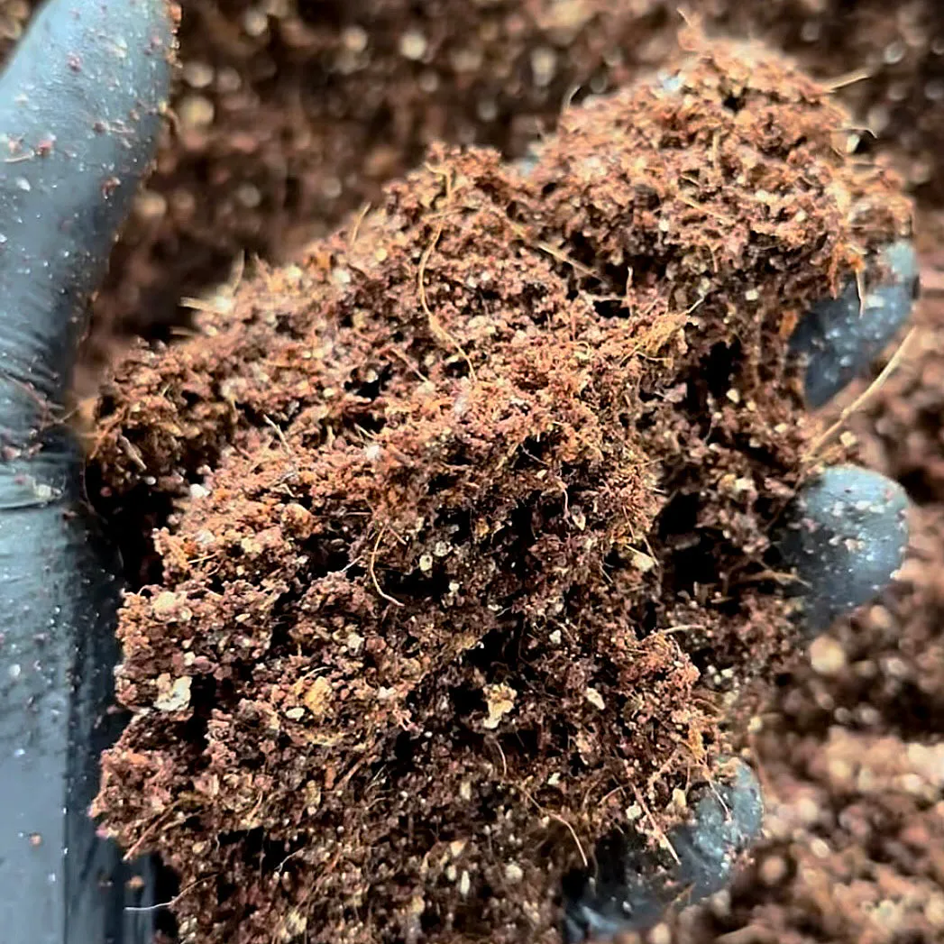Not So Simple Mushroom Substrates