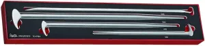 Teng Tools 4 Piece Pry Bar Set In EVA Tray - TEXPB4,Silver
