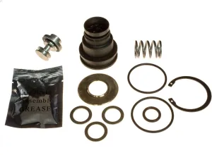 World American WAR950014 Purge Valve Kit